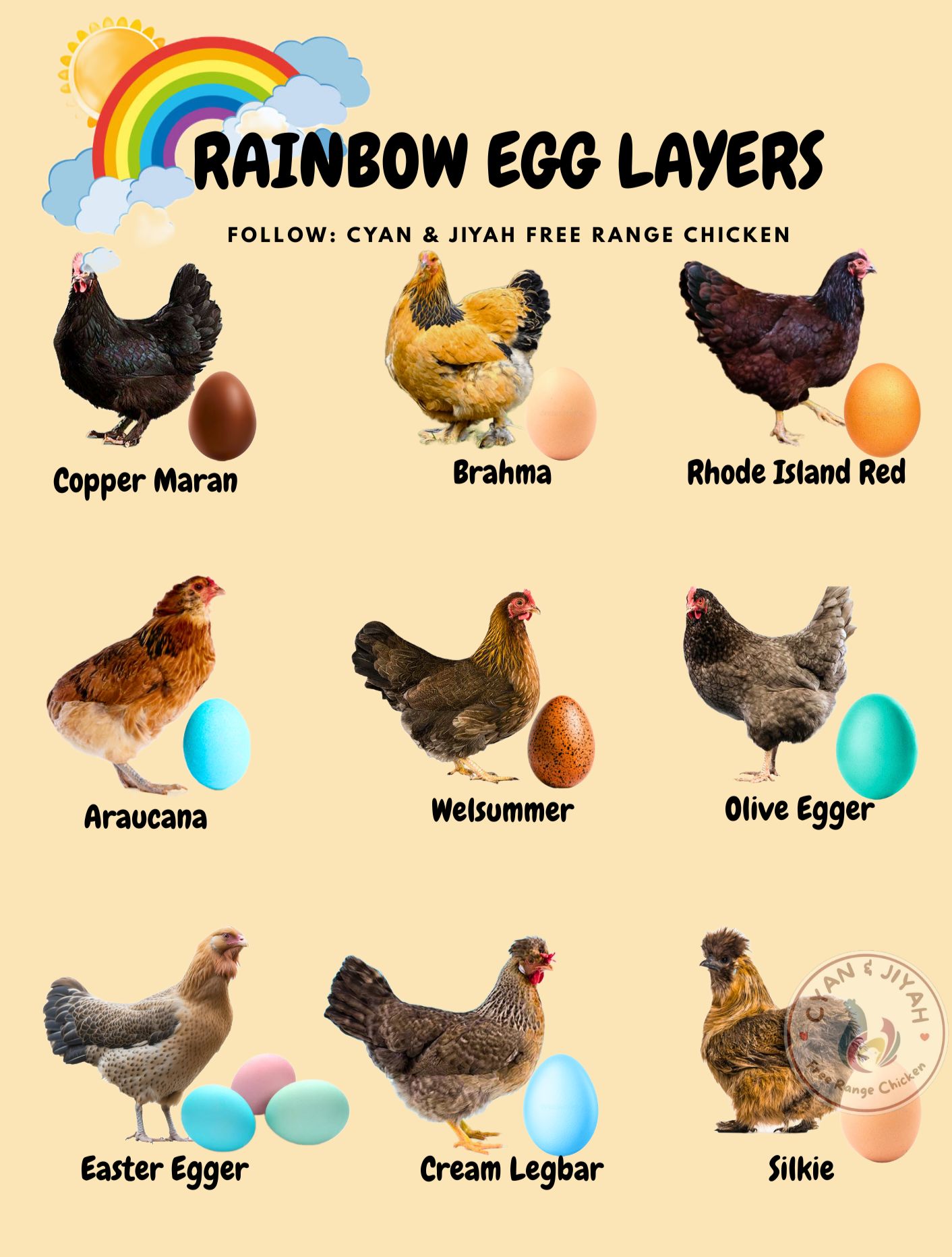 View of Cyan - Rainbow Egg Layers 🥰 | Facebook