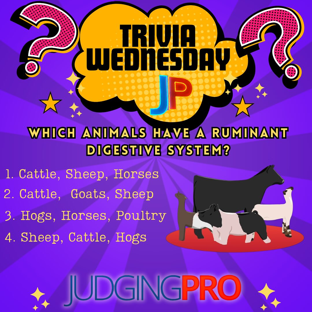 JudgingPro.com - JudgingPro.com added a new photo.