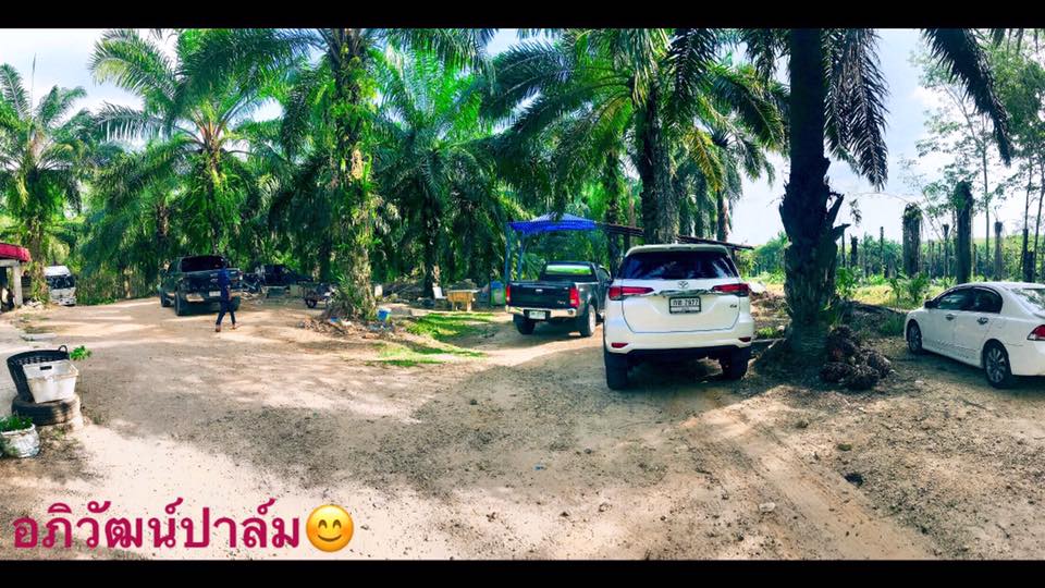 Apiwat Kullang