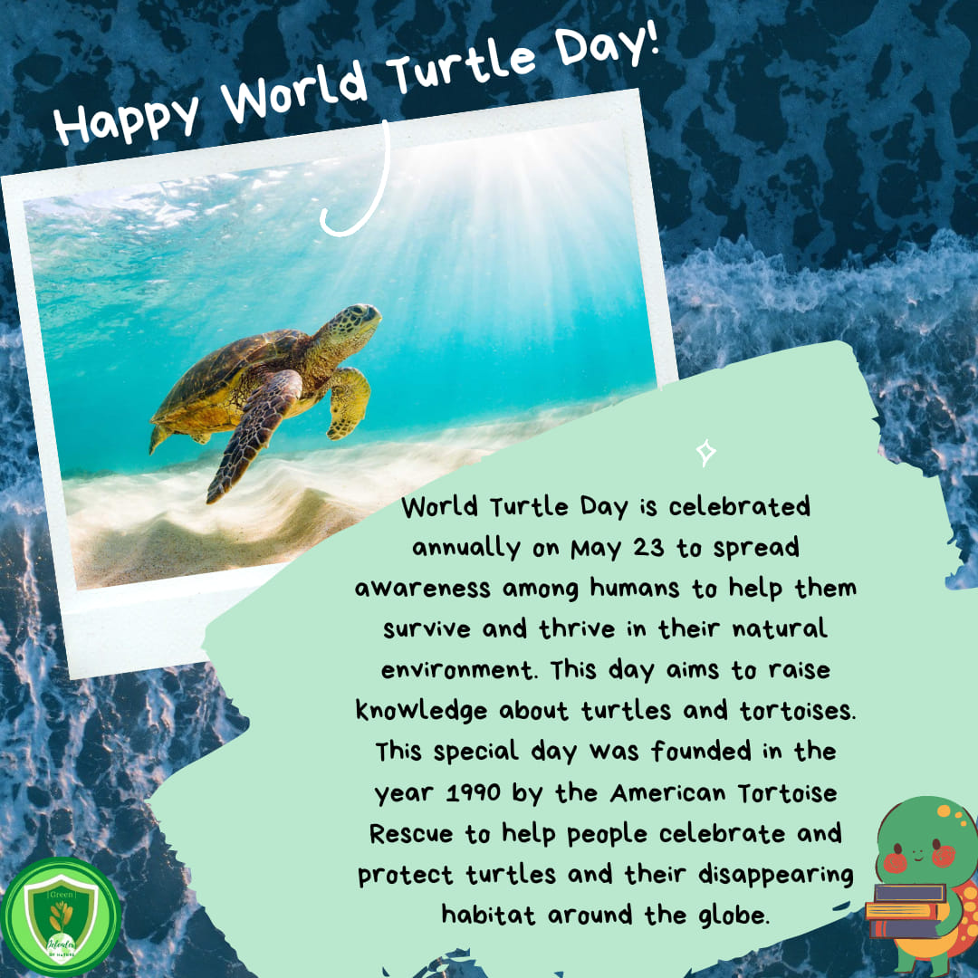 Happy World Turtle... - Generation S: Generation Sustainable
