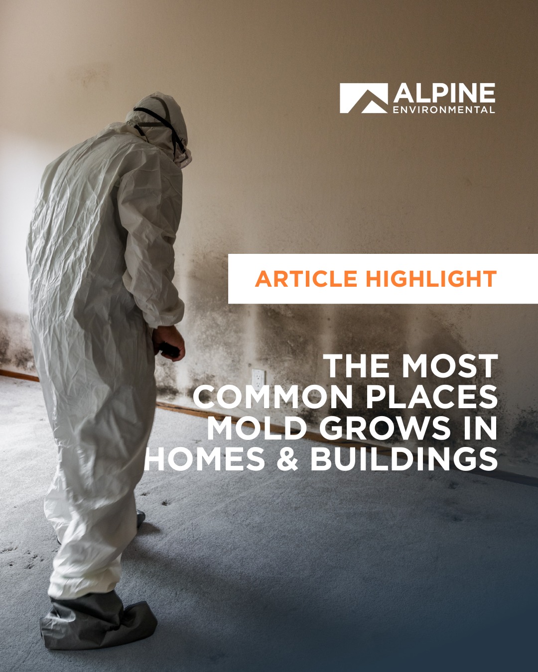 Alpine - 🦠 Mold thrives in dark, damp spots—like basements, attics, and ...