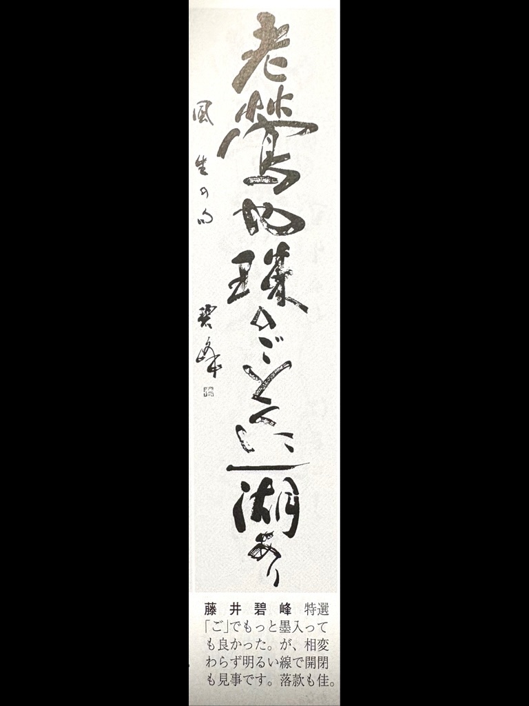 藤井 碧峰 - 臨 鄭道昭「論經書詩」 . . #書道 #書 #书法 #書法 #鄭