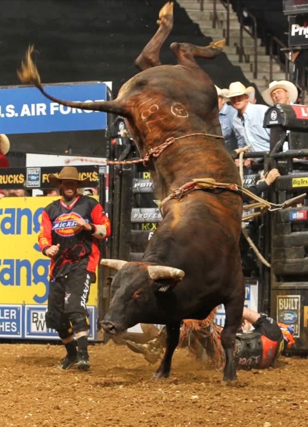 Rodeo - WOW! 😲 Great photography! 📸 #rodeonewsbroadcast #rodeo #pbr ...