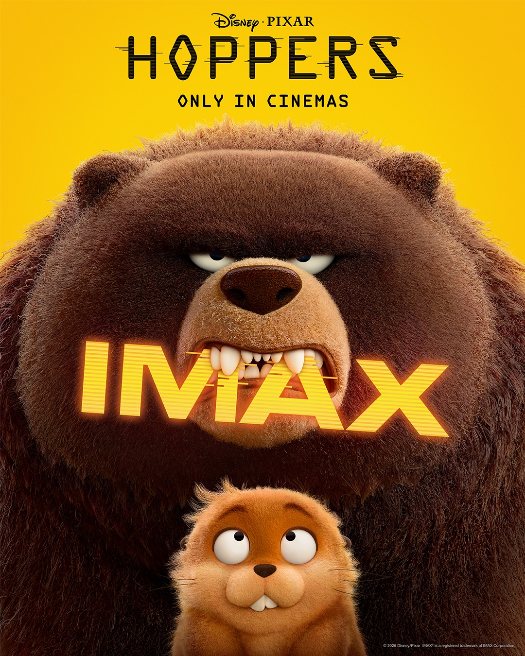 SM Cinema - Big fur. Bigger adventure. 🐻🦫 Experience... | Facebook