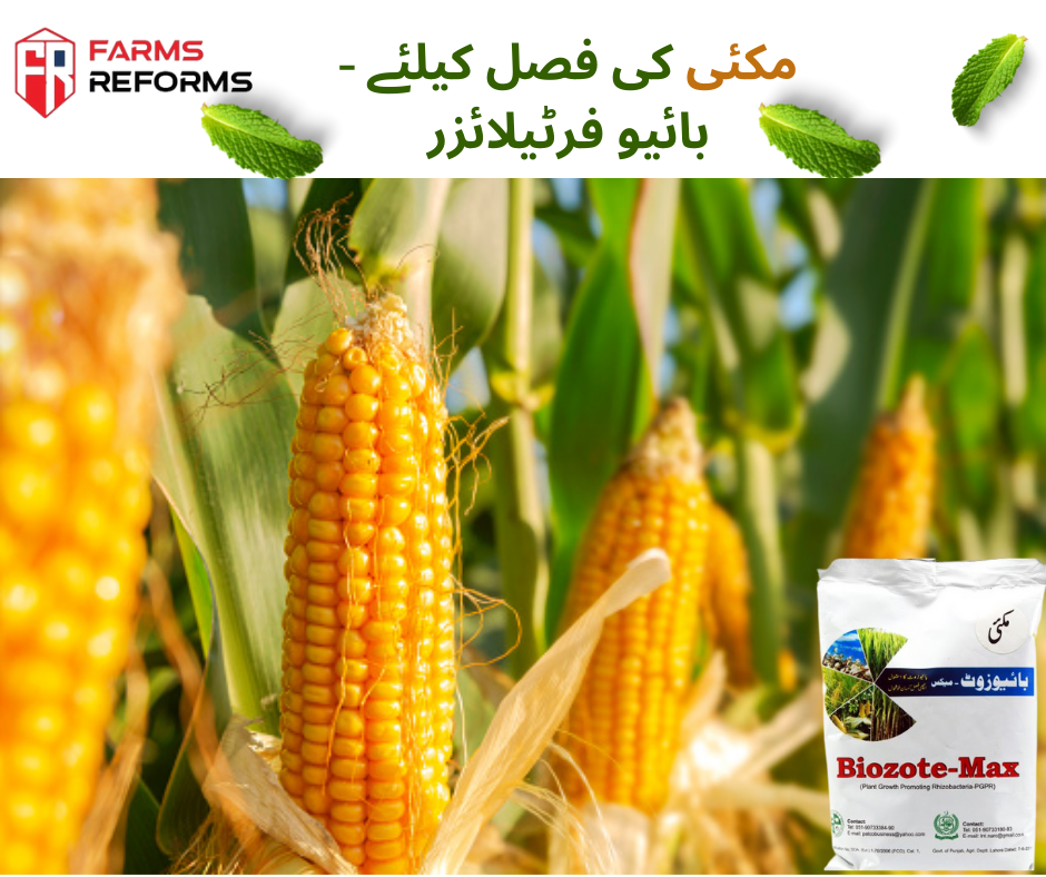 Farm Reforms | Rawalpindi