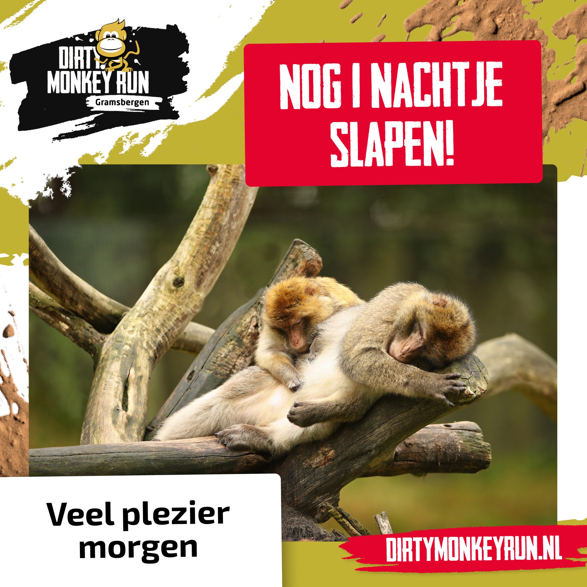 Morgen is het zover! Ben jij klaar voor... - Dirty Monkey Run | Facebook
