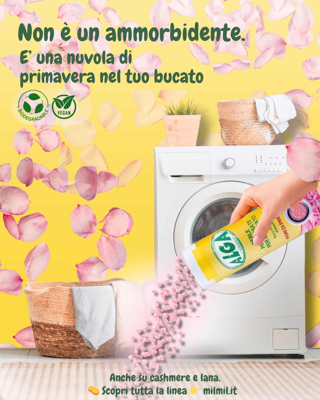 Sapone Ecologico All'Alga Per Bucato A Mano E Lavatrice – Ipoallergenico, 4 Pezzi