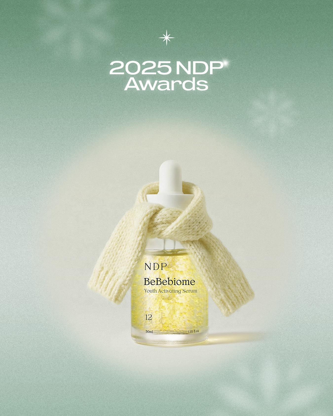 NDP 엔디피