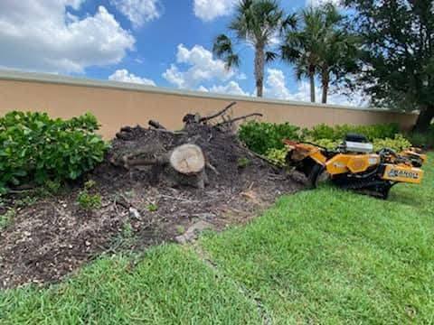 Lee Parker Stump Grinding & tree service LLC | Parrish FL