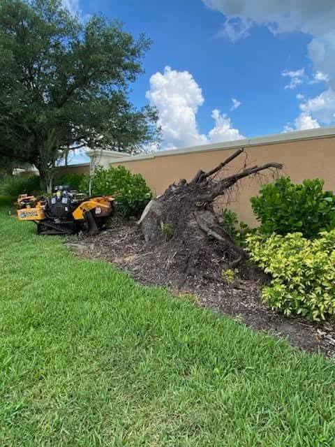 Lee Parker Stump Grinding & tree service LLC | Parrish FL