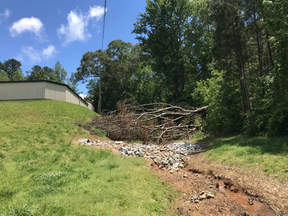 Superior Tree Service | Cornelia GA