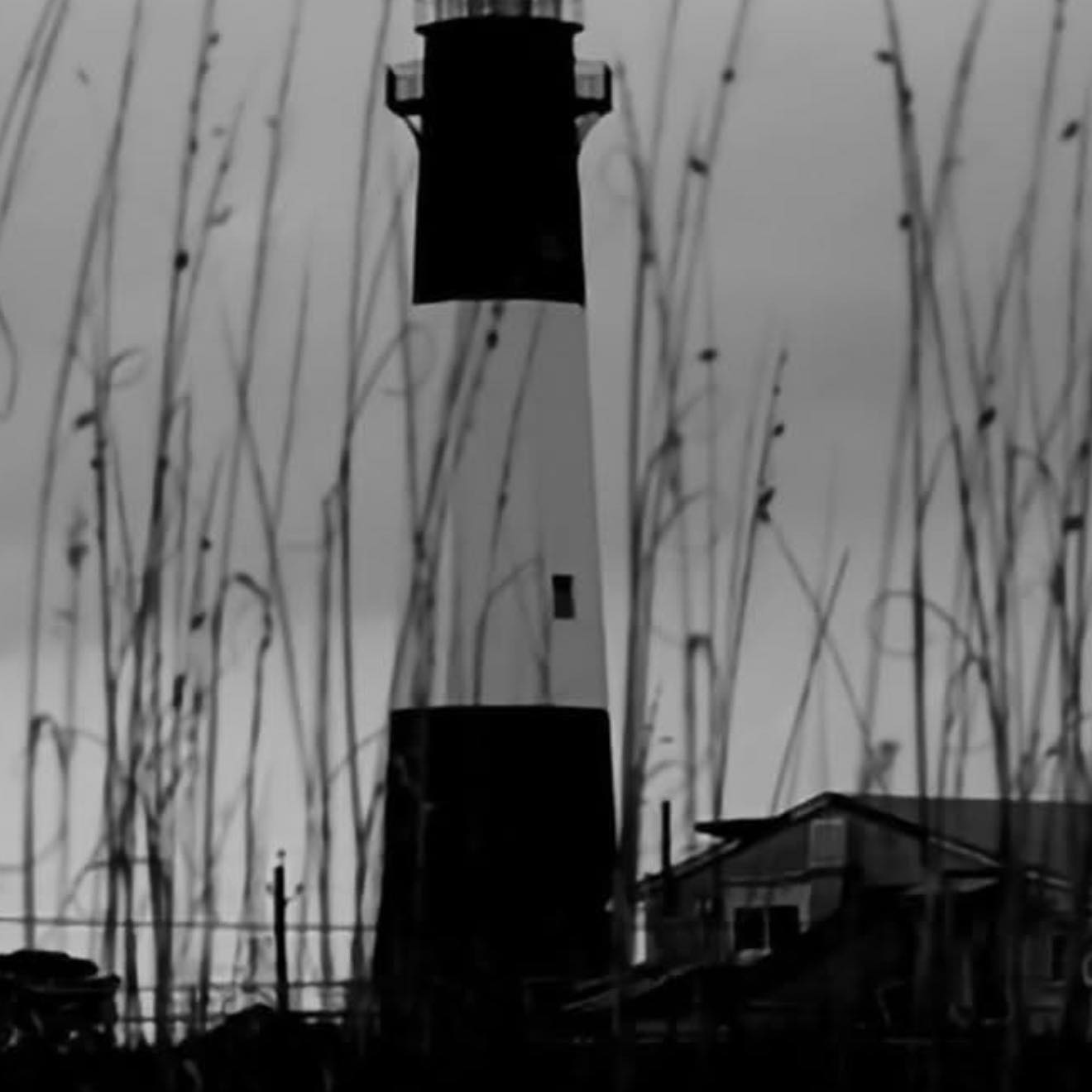 My Georgia Coast | I took this on Tybee quite a few months ago | Facebook
