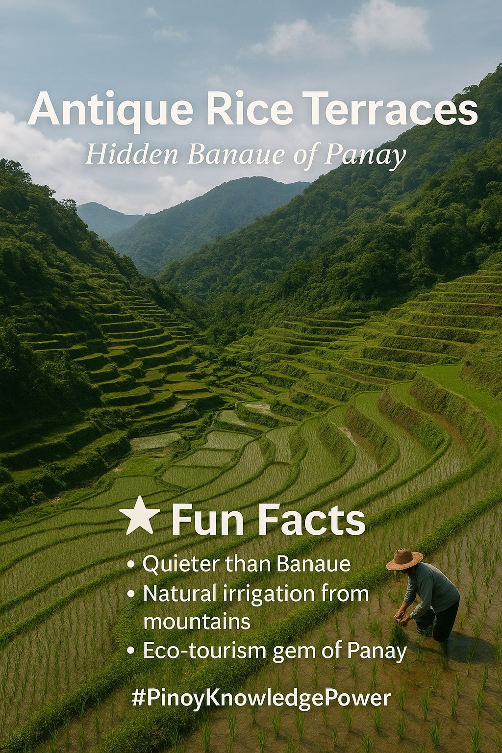 Pinoy - 🌾 Antique Rice Terraces Alam mo ba na hindi lang sa Ifugao ...