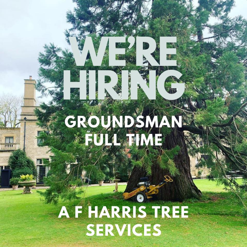 A F Harris Tree Services | Trowbridge
