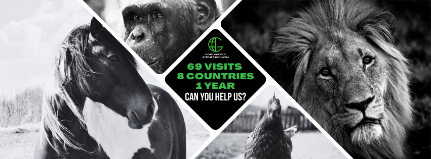 Global Federation of Animal Sanctuaries (GFAS)