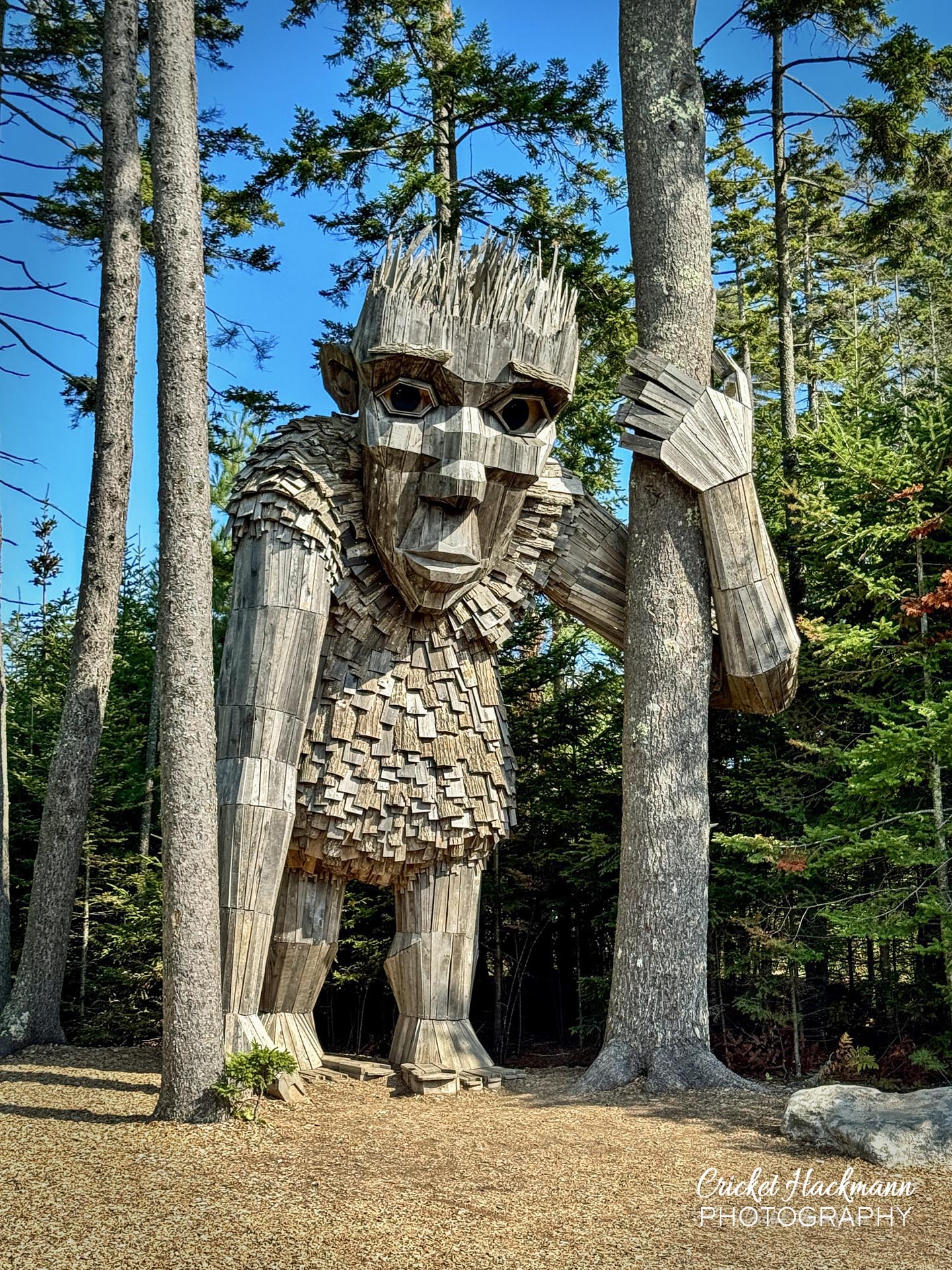 Røskva - Guardians Of The Seeds at Coastal Maine Botanical Gardens