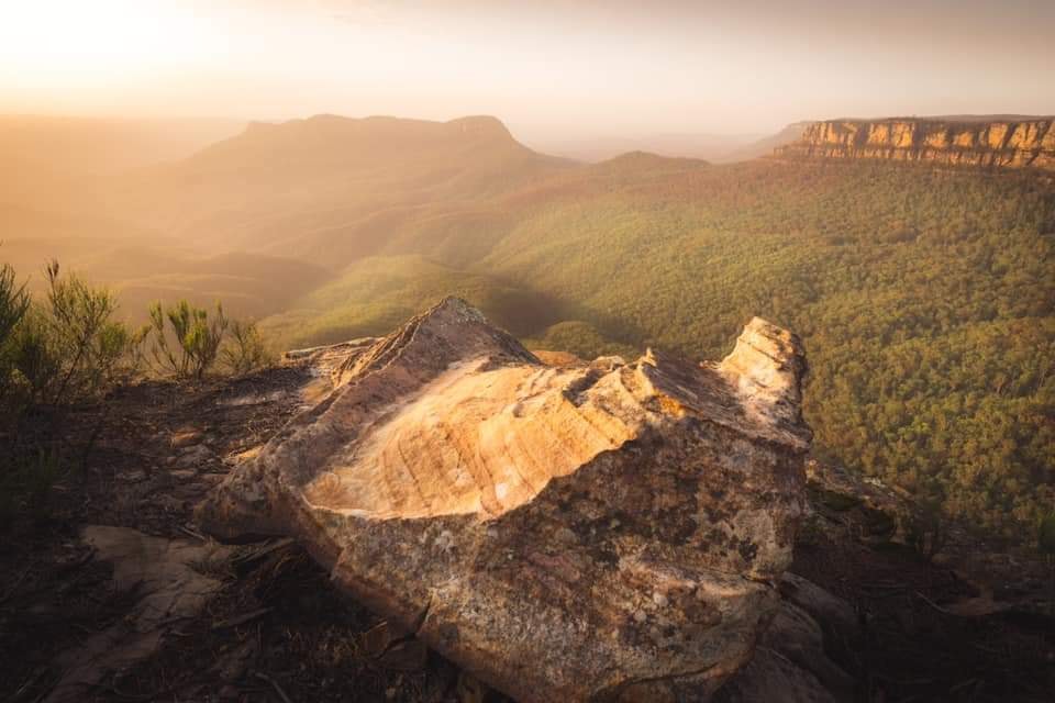 PhotowalkAustralia - Amazing frame by @corin_bradfield congrats mate ...