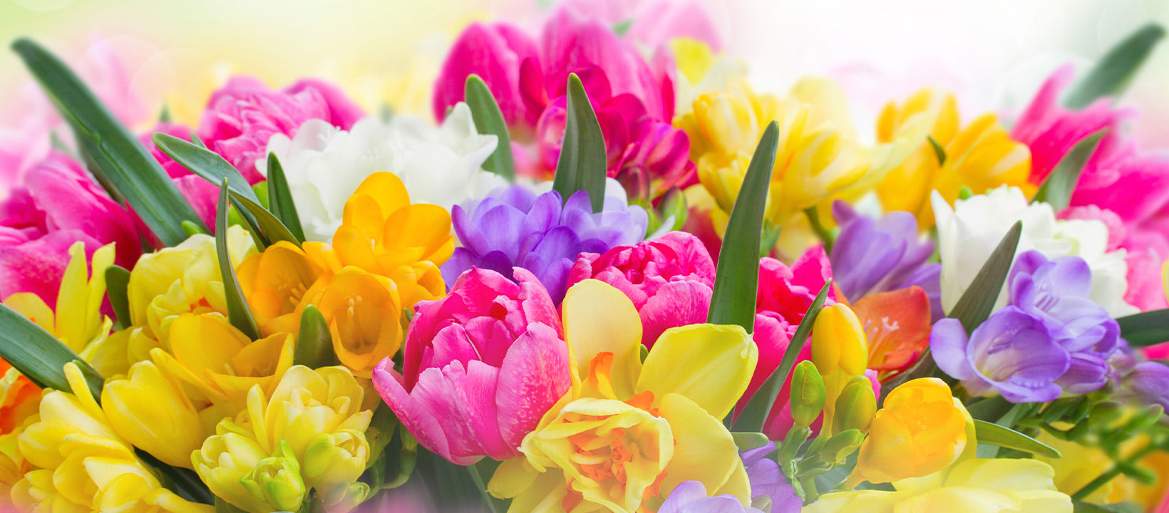 McNamara Florist | Carmel IN