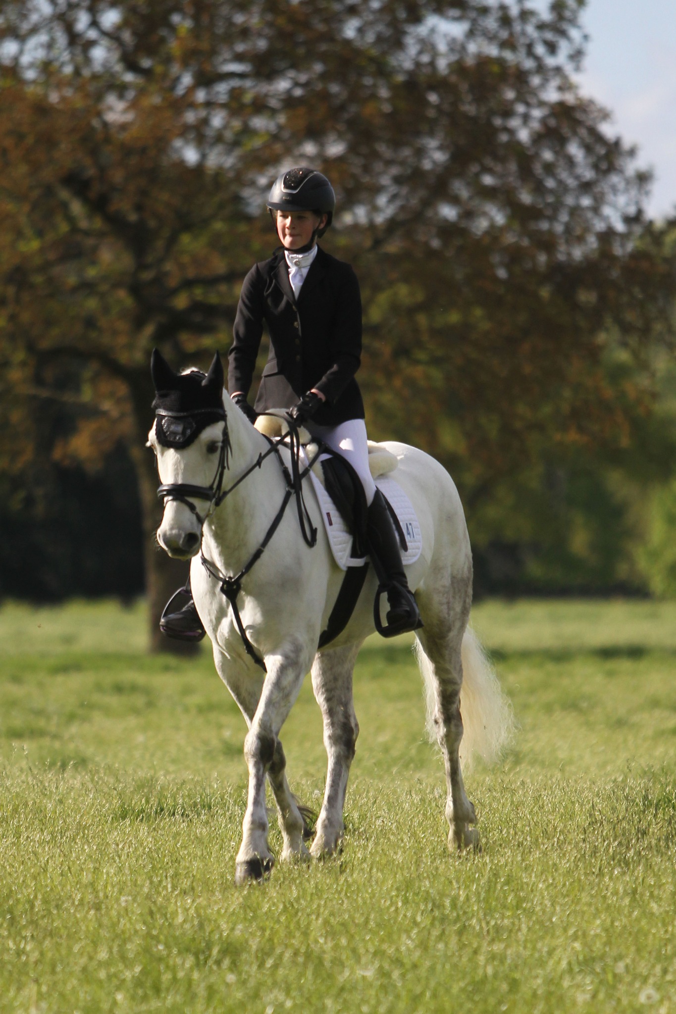 British Riding Clubs Area 7