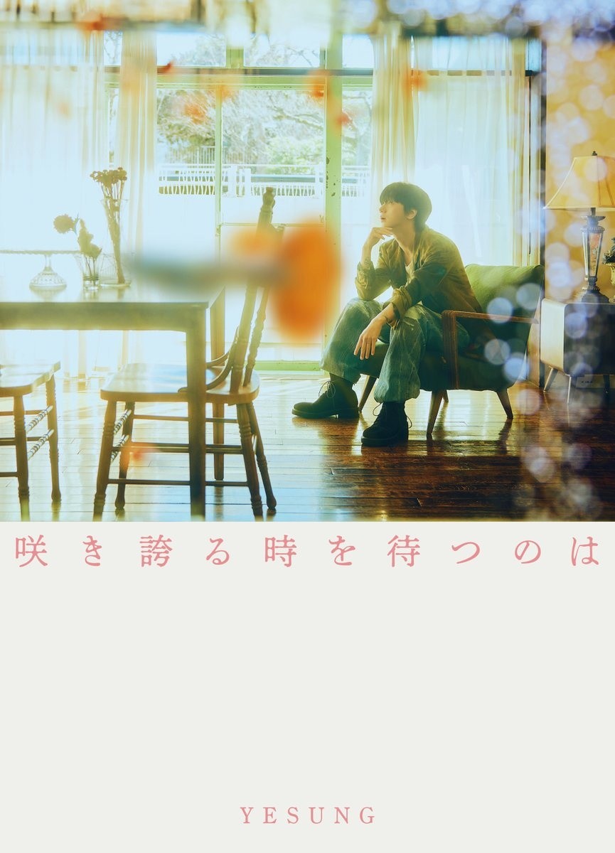 YESUNG 咲き誇る時を待つのは アルバム 4種セット　新品未開封 YESUNG '咲き誇る時を待つのは' Physical Album Cover YESUNG JAPAN