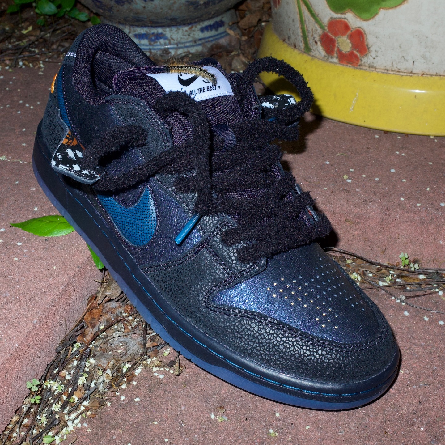Nike sb nj skateshop reviews Nike SB Dunk Low Pro QS Riot Skateshop Review and on feet