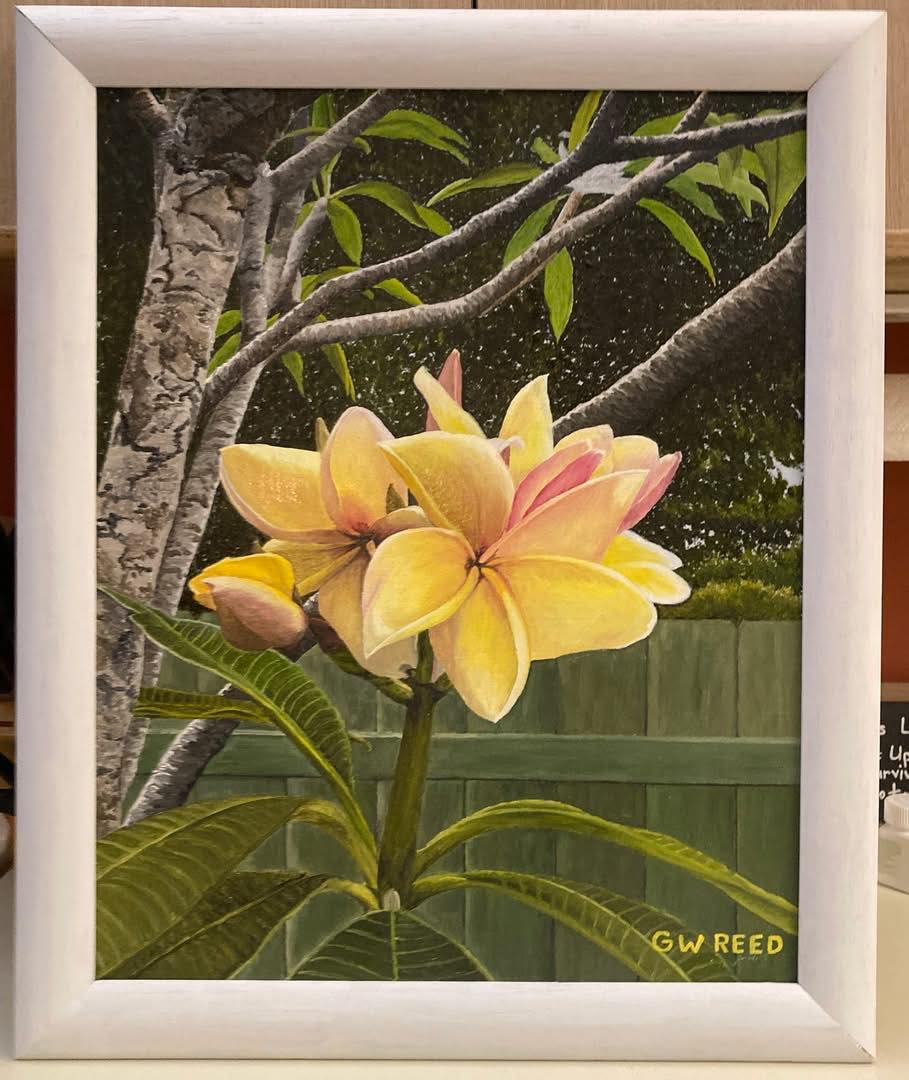 Florida Scenery Paintings in Oil by G. W. Reed