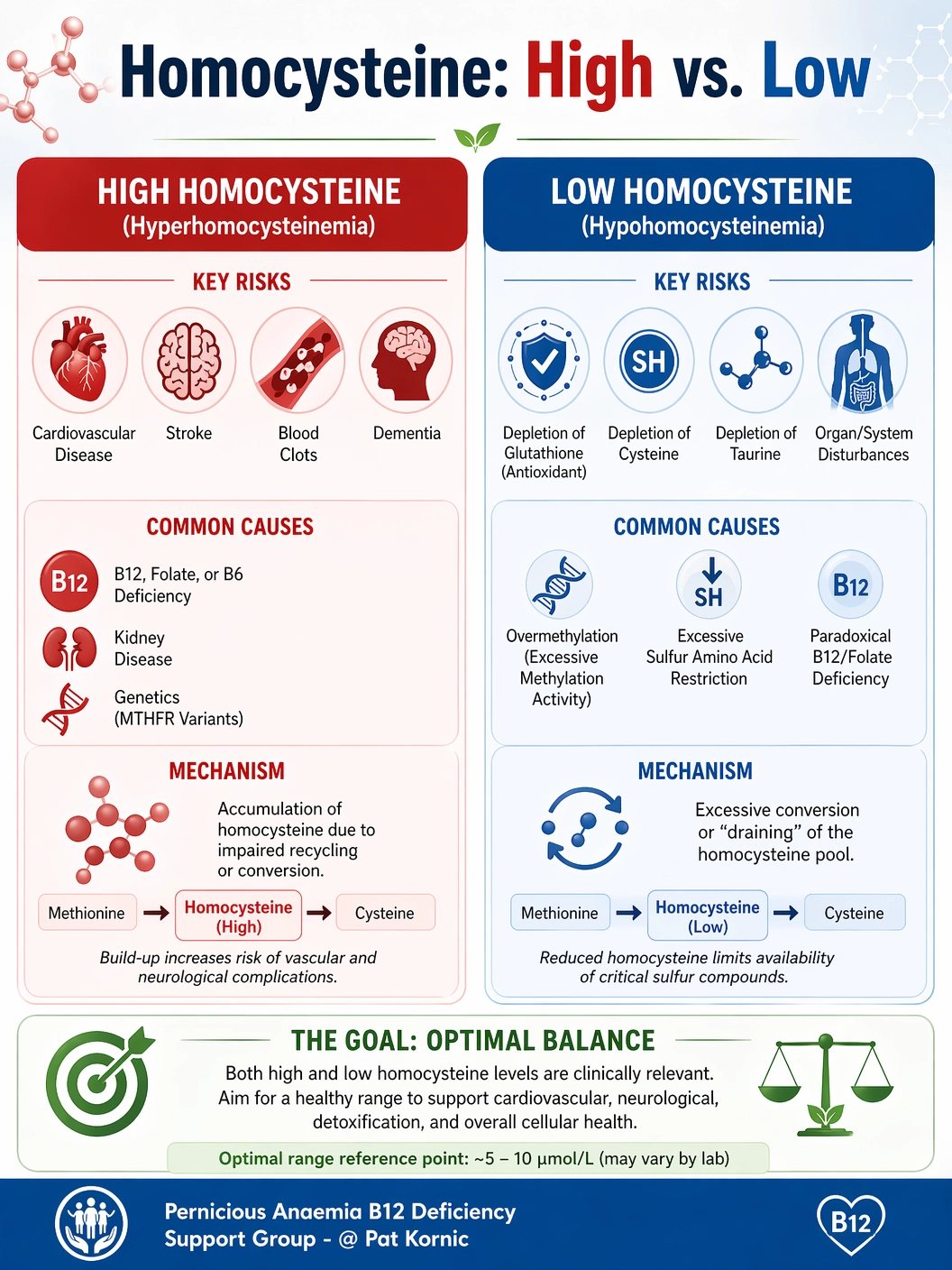 does high homocystein levels lower glutathione Low homocysteine and methylation health GLOW Peptide Protocol (GHK-Cu, قناع الوحه Size:30 Capsules