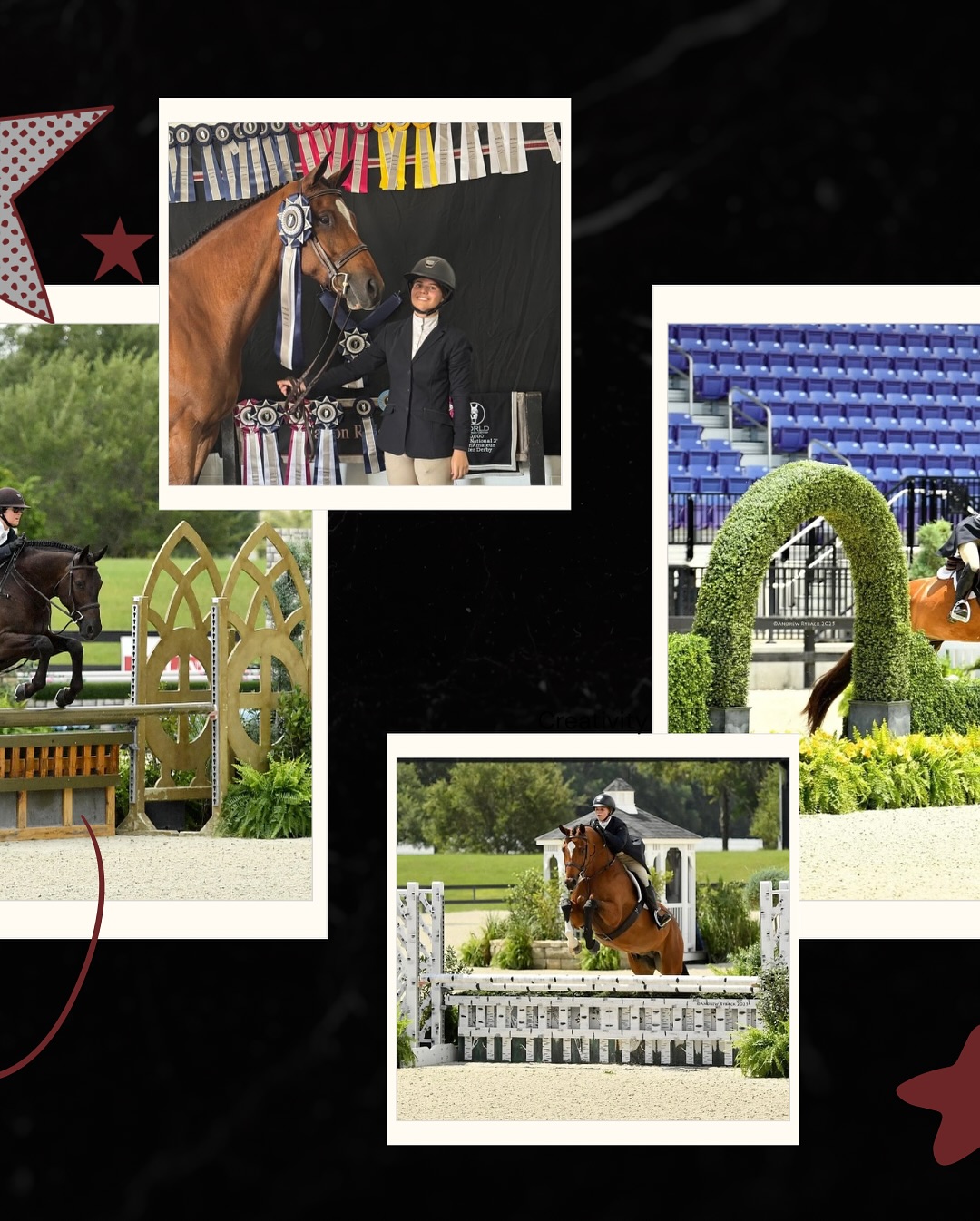 Falcon Ridge Stables | Woodstock GA
