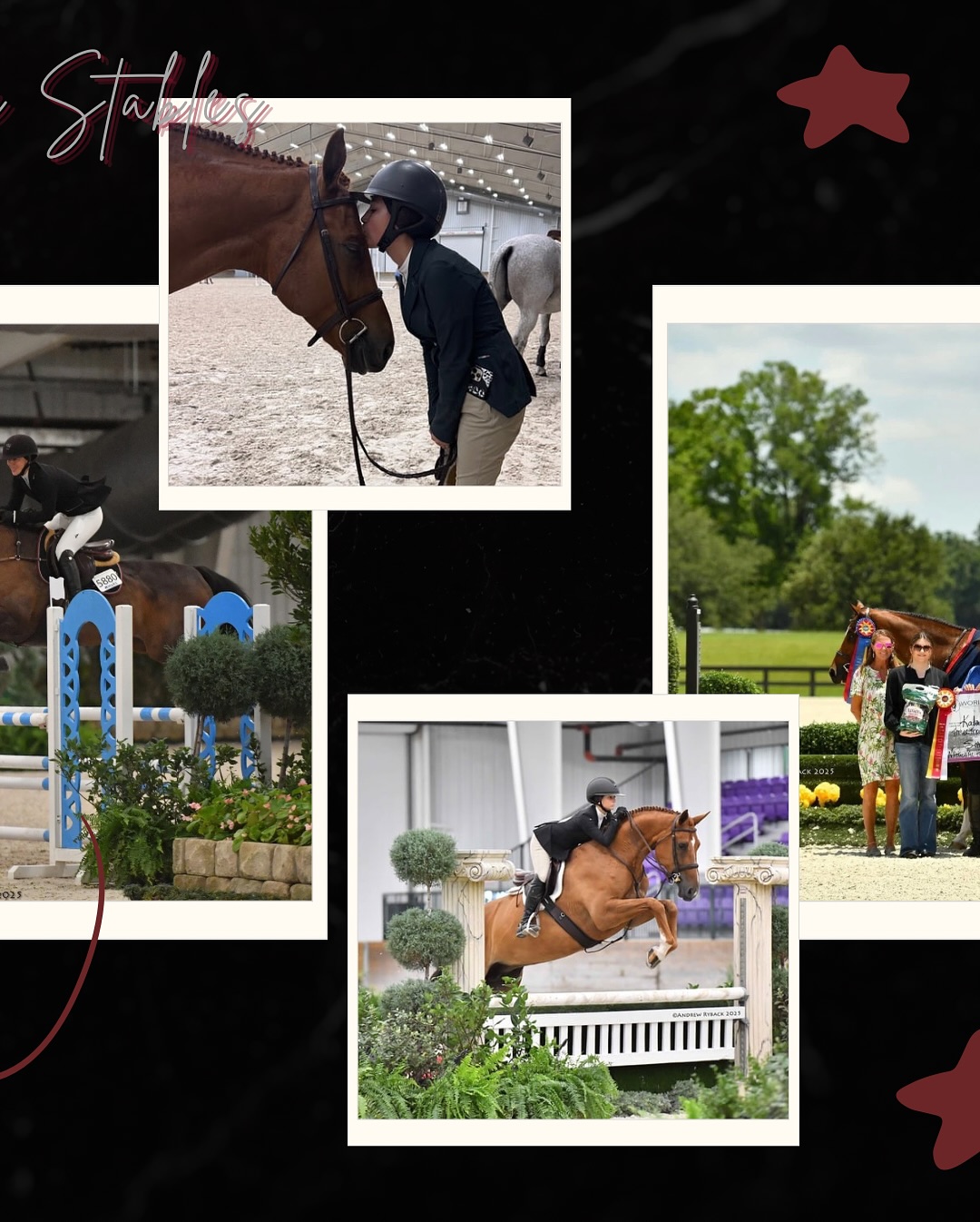Falcon Ridge Stables | Woodstock GA