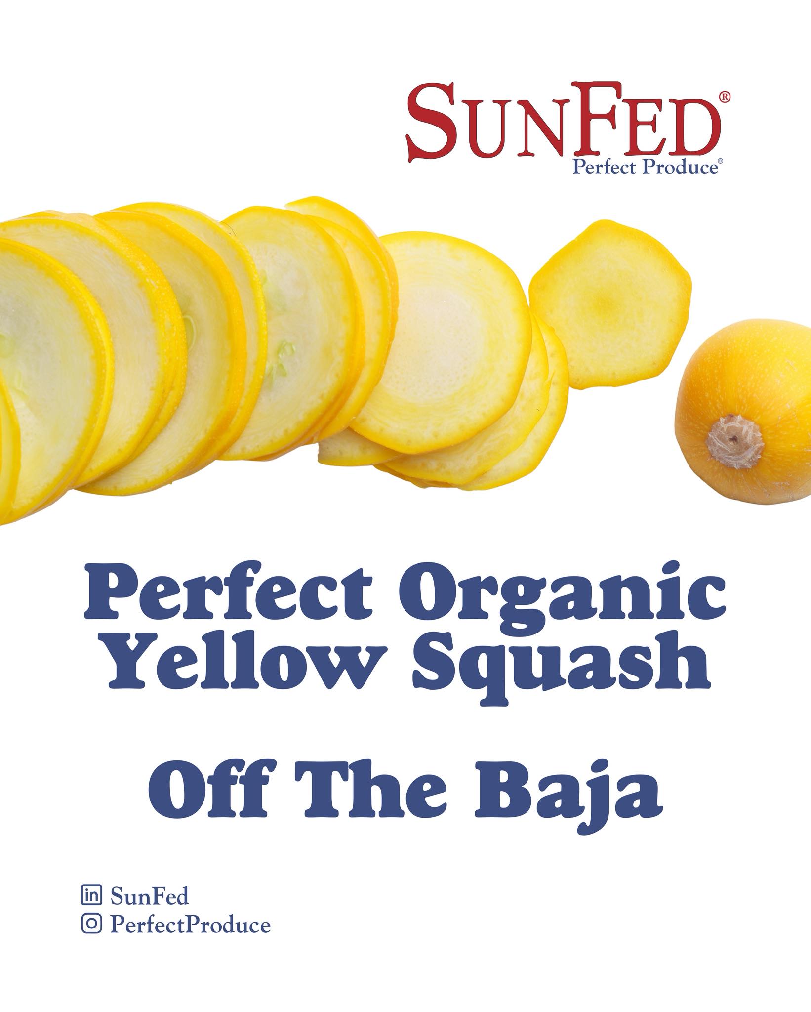 SunFed | Rio Rico AZ