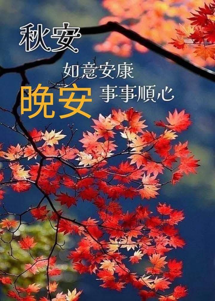 蔡營德 - 好朋友們.大家晚安好呀！😀 ️😂 | Facebook