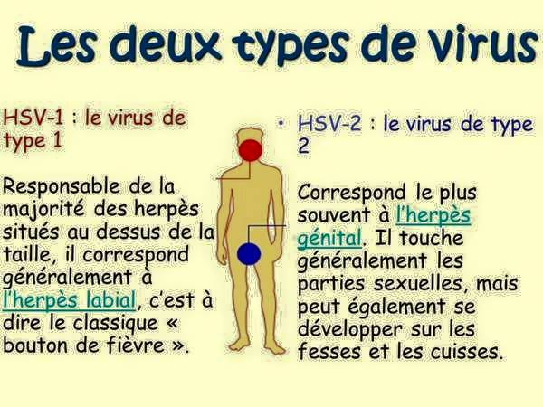 Chrislab - HERPES GENITAL C’est l’infection cutanée des zones génitales ...