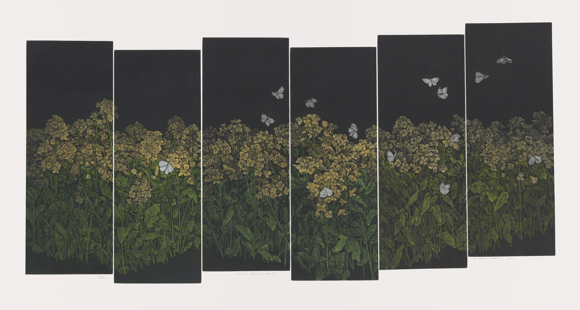 NOW ON VIEW–