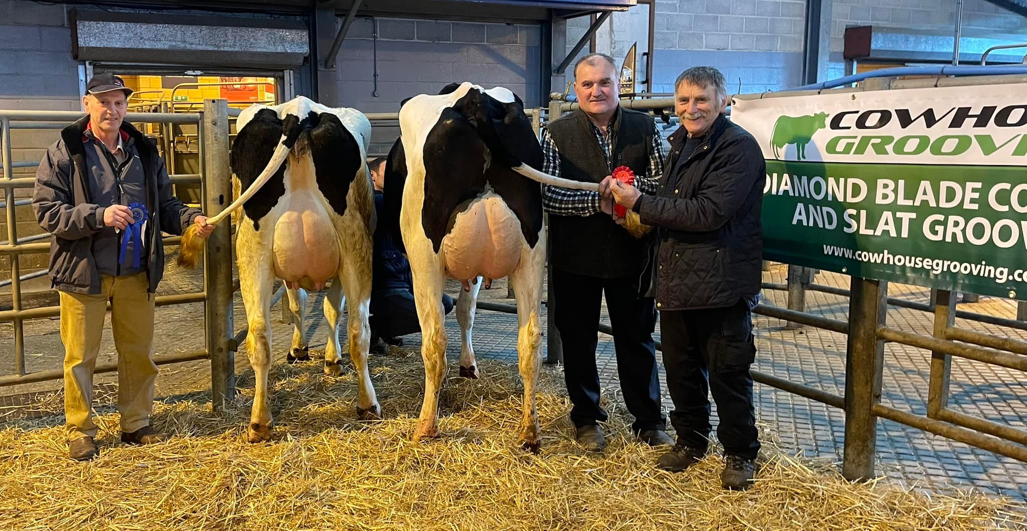 Holstein - Senior heifer class 1st on the right & Champion with PAITH ...