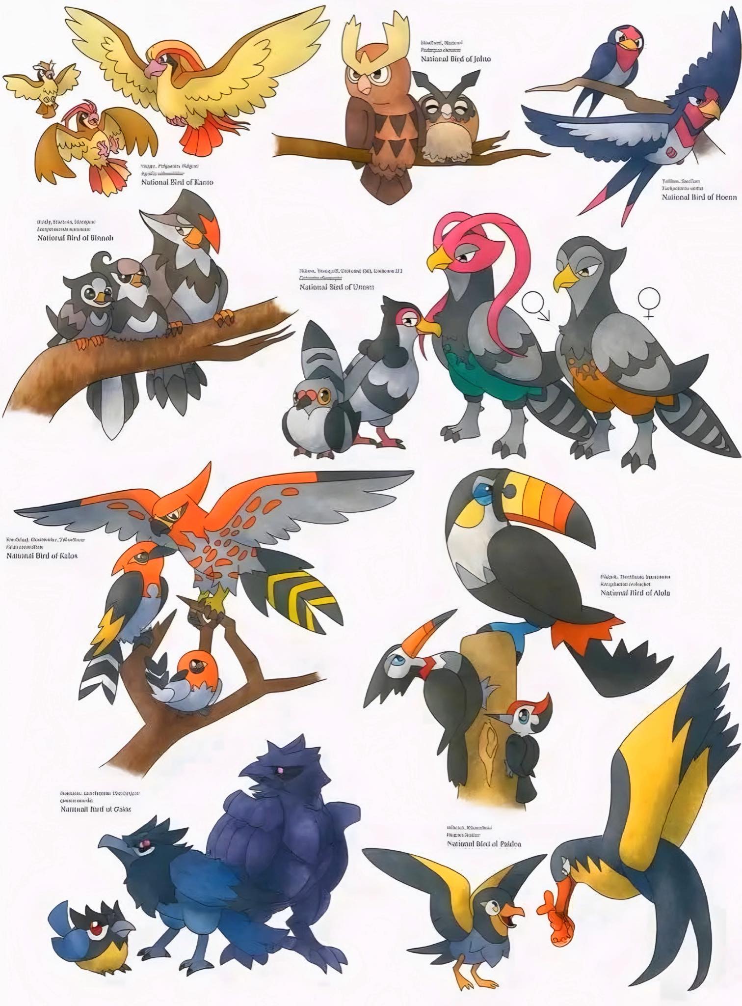 Ch3vi Tv - Todas las aves regionales que existen... | Facebook