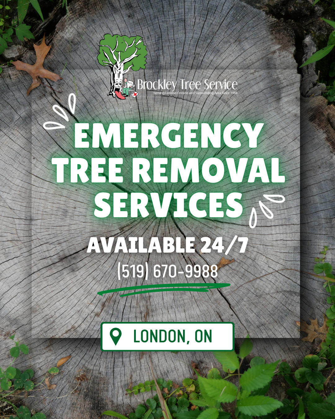 Brockley Tree Service