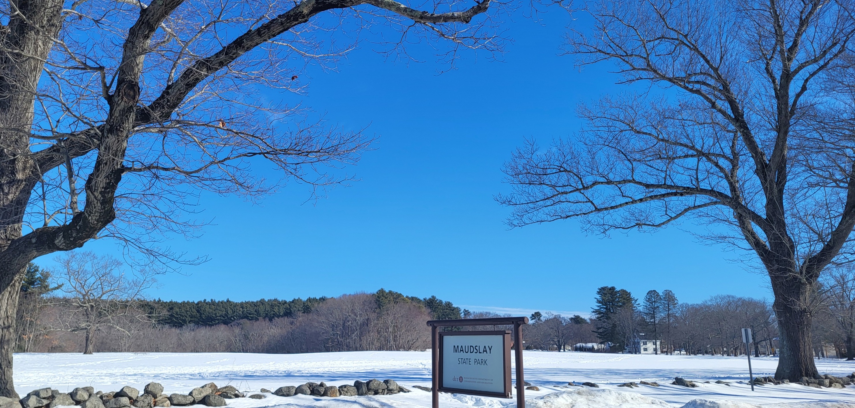 Topsfield - Join us on Zoom, June 24th, for another Meg Black art talk ...