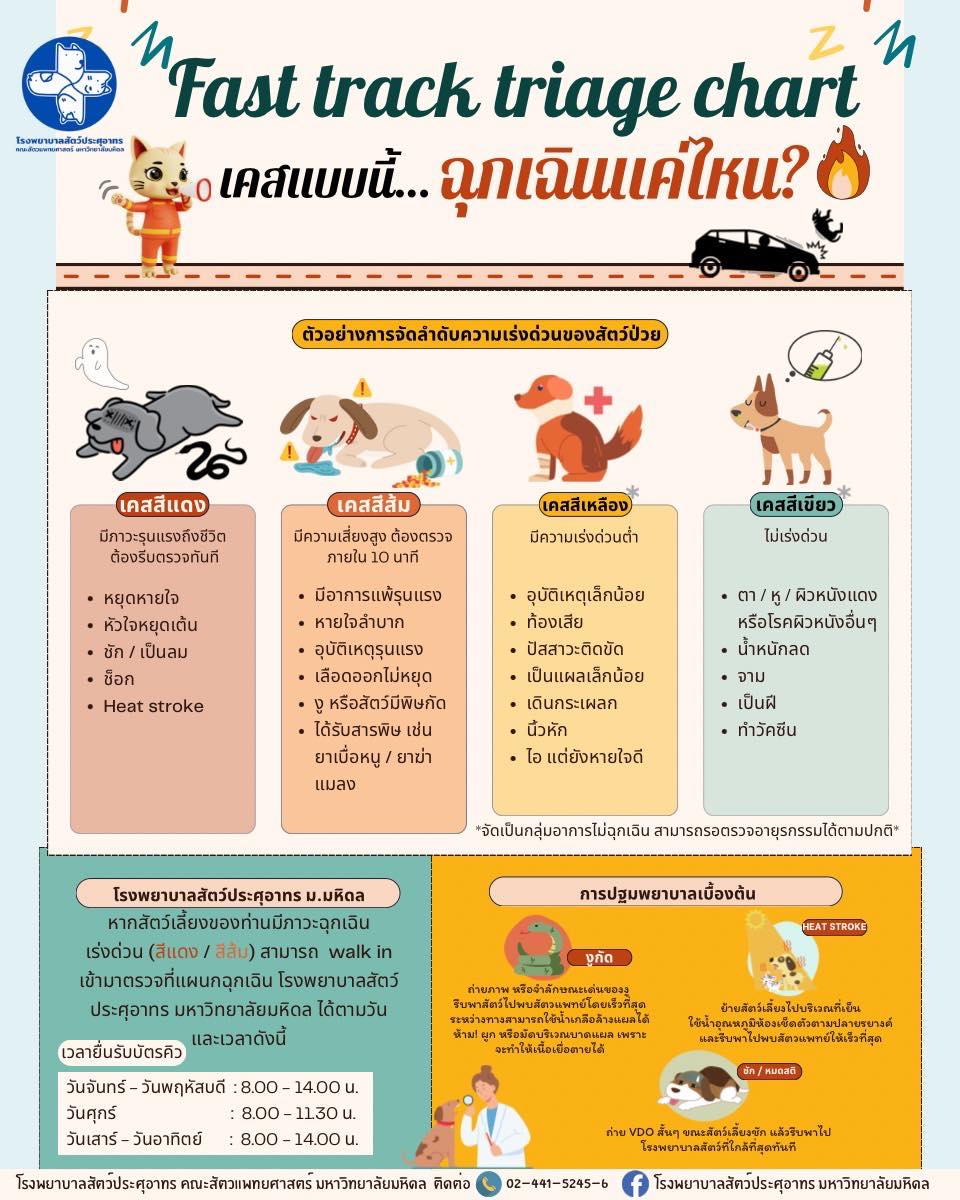 โรงพยาบาลสัตว์ประศุอาทร - พ่อๆเเม่ๆ ทุกคนที่เลี้ยงสัตว์ควรรู้ 