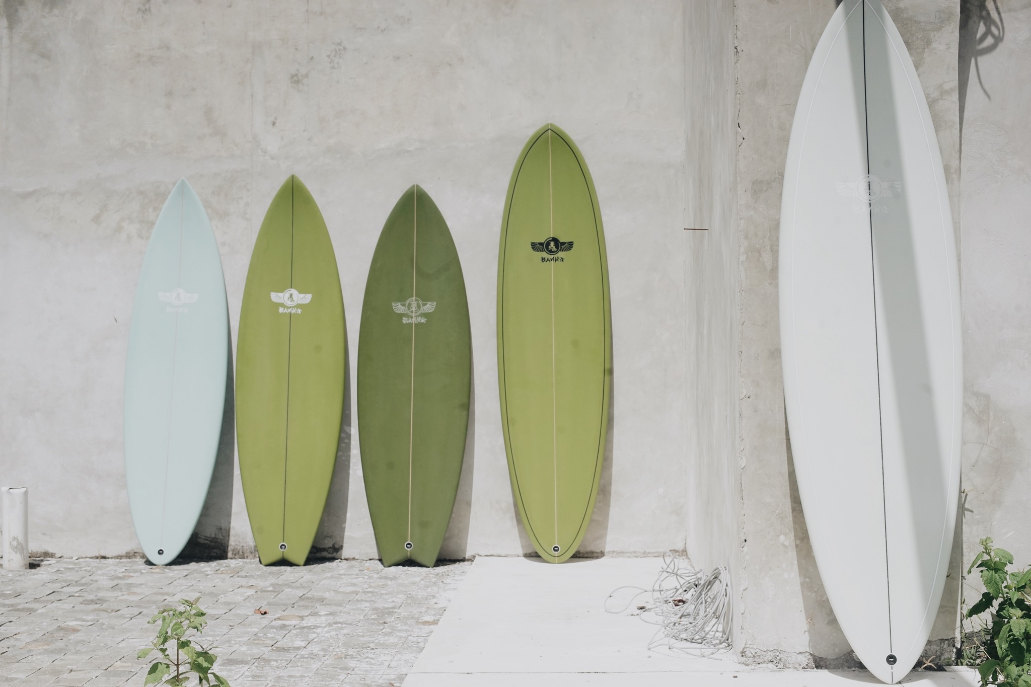 THE EVOLUTION OF MIDGET FARRELLY SURFBOARDS +++ 🌊🏄🏼‍♂️🏆🏆🏆