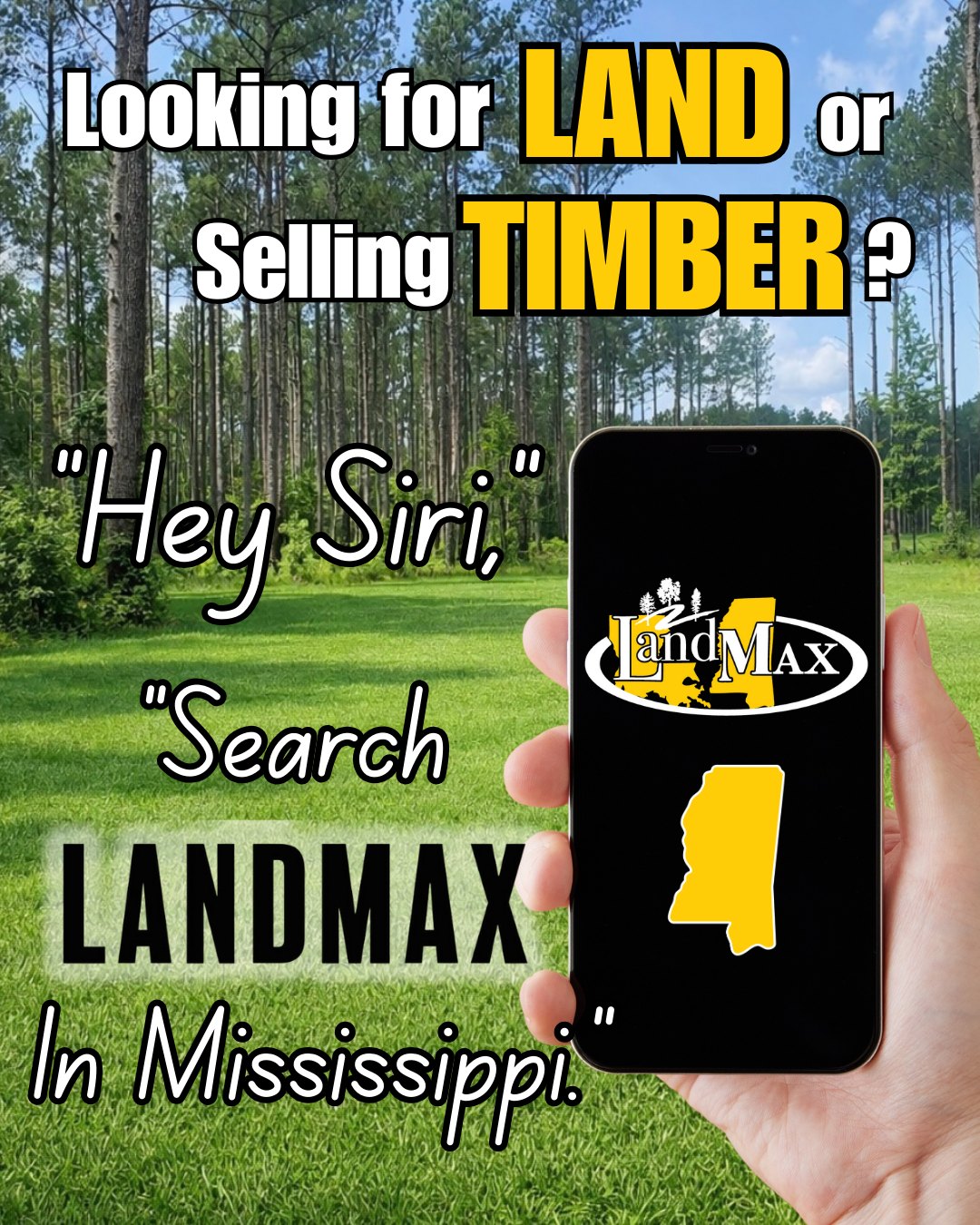 LandMAX Timber Company, INC. | Brookhaven MS