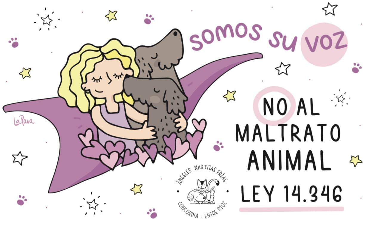 Ángeles Naricita Fria