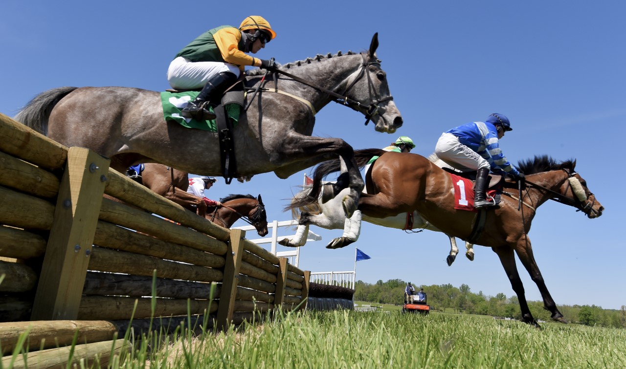 Virginia Horse Racing