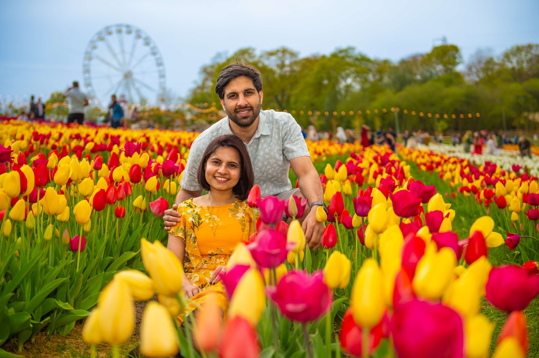 OUR TULIPS ARE NOW IN PEAK BLOOM 🌷 This is the moment - 1.5
