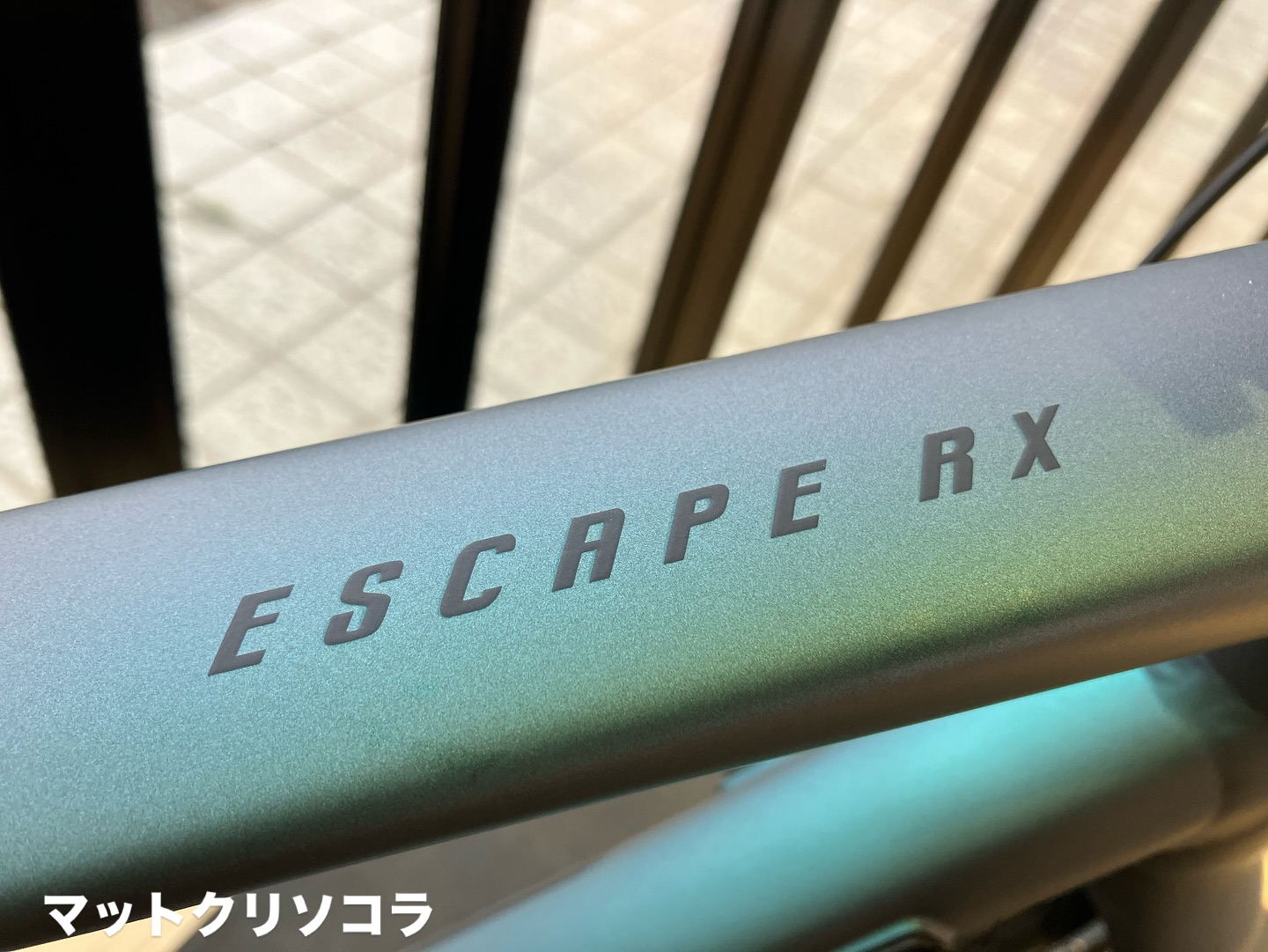 スポーツサイクリングを始める方に人気の「ESCAPE RX2DISC」ご好評頂い