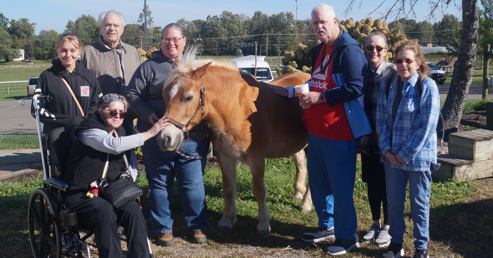 Pegasus Farm Therapeutic Equestrian Center | Hartville OH
