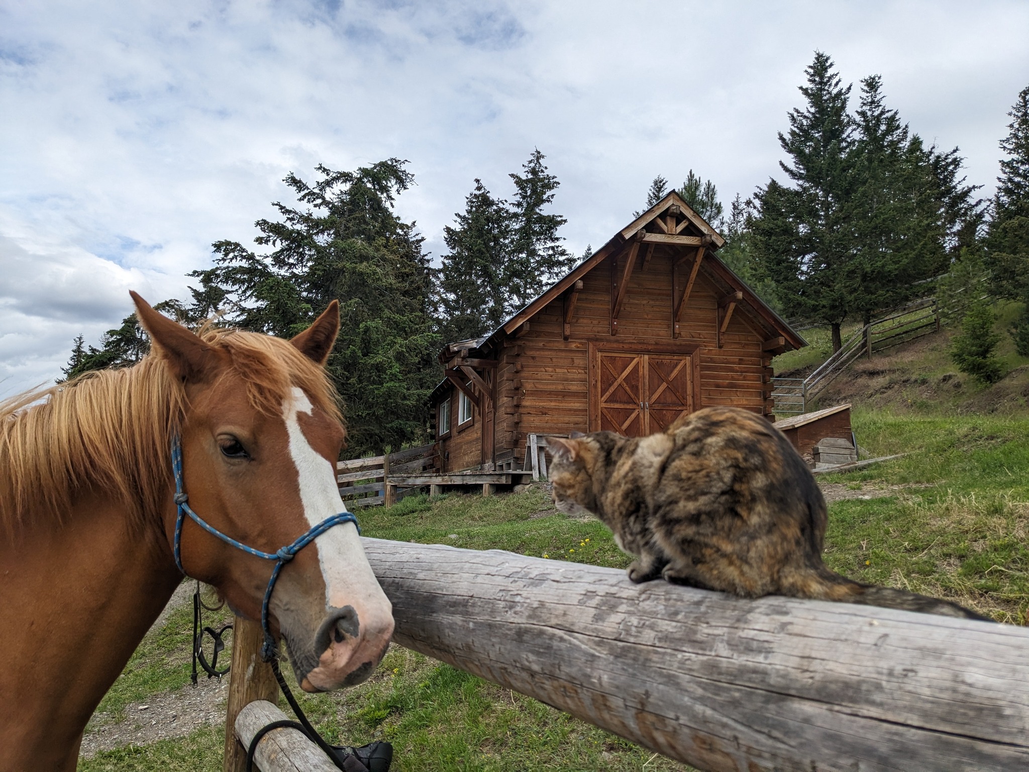 Skookumhorse Ranch | Clinton BC