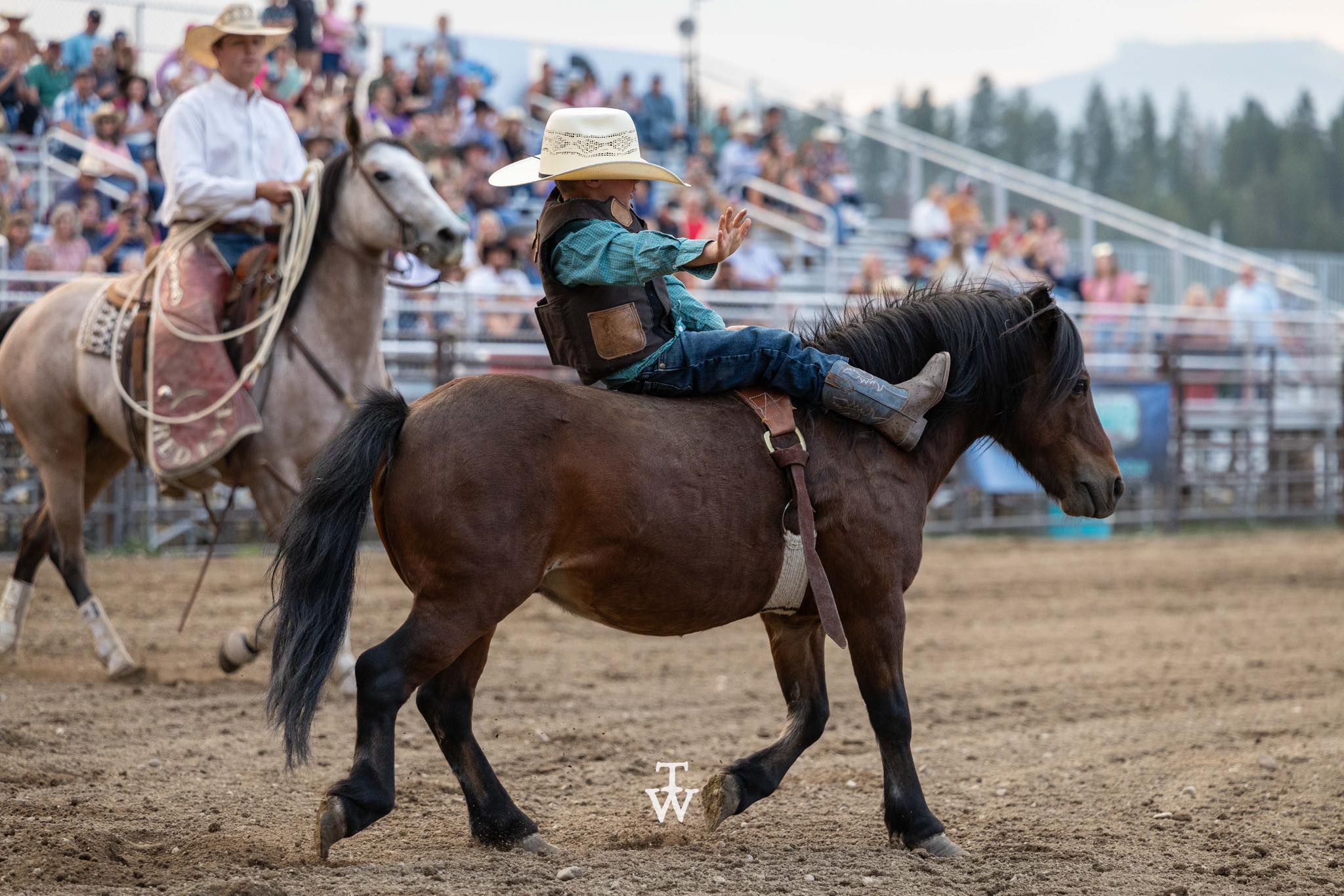 Red Eye Rodeo