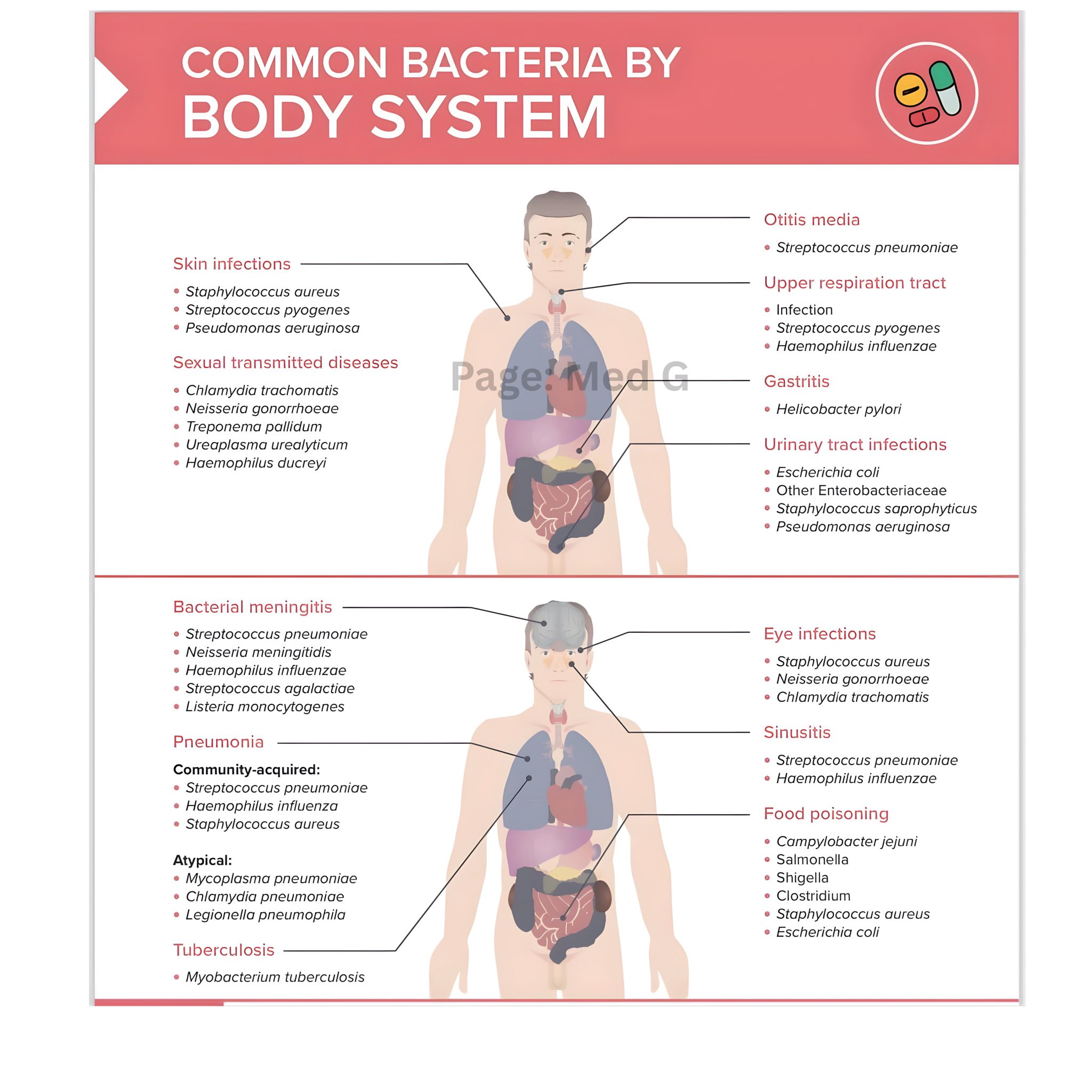 Med - Antibiotic Resistance How it happens (simple 1–5 steps): 1. Mixed ...
