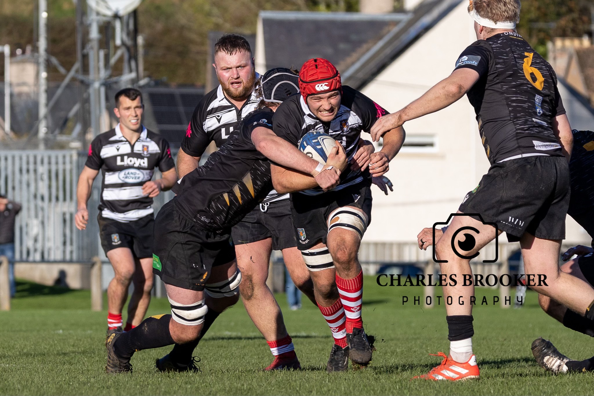 Kelso Rugby Football Club... - Kelso Rugby Football Club