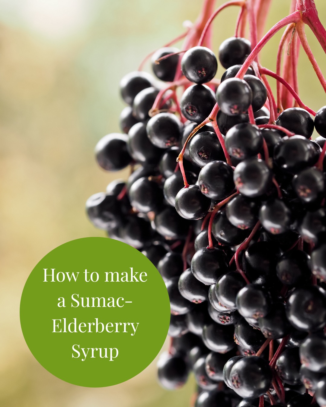 🍇 Sweet, tangy, and full of herbal... - Herbs with Rosalee | Facebook